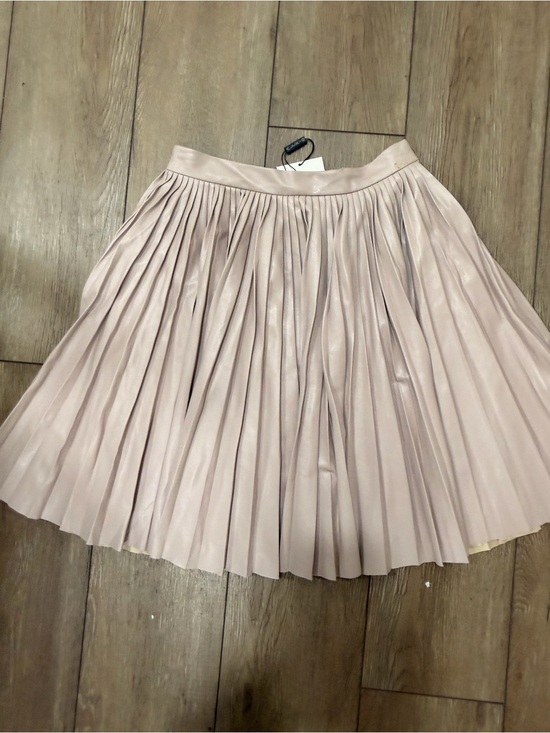 Alexis Dresses & Skirts - Alexis Blush Pleated Satin Circle Skirt 0555